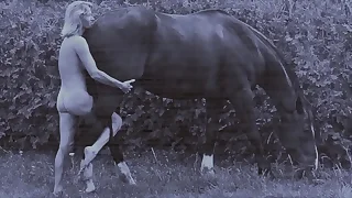 117 horse porn videos